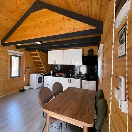 101 Gün Kiralık Havuzlu House Kayacık Сasa de vacaciones